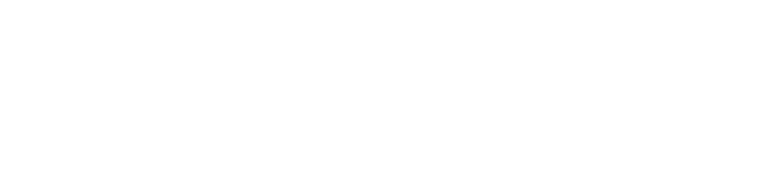 Legal ESI